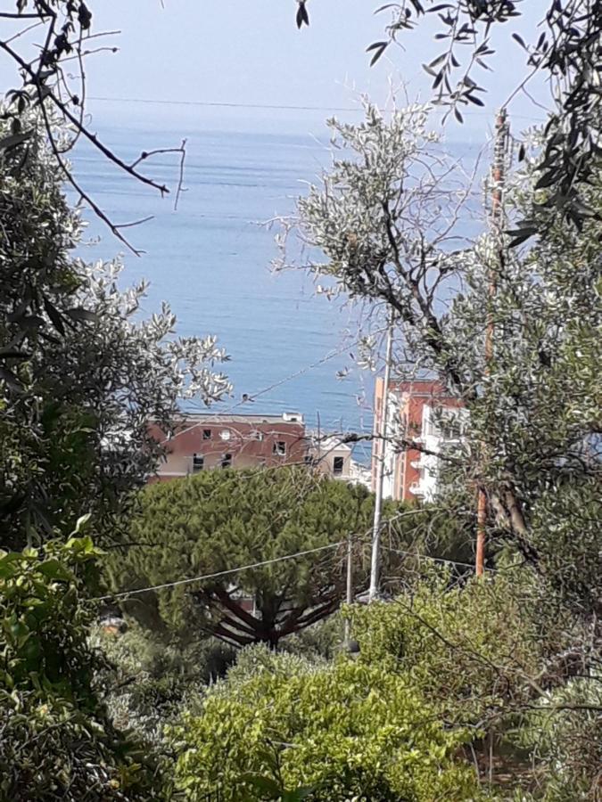 Tigullio Vacations Panoramica Apartments Lavagna Extérieur photo